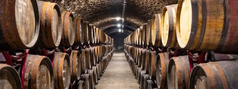 DE L’OUTRE AU LIÈGE : ÉVOLUTION DE LA CONSERVATION DU VIN